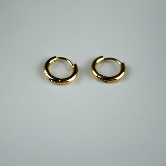 Tiny Hoop Earrings Gold
